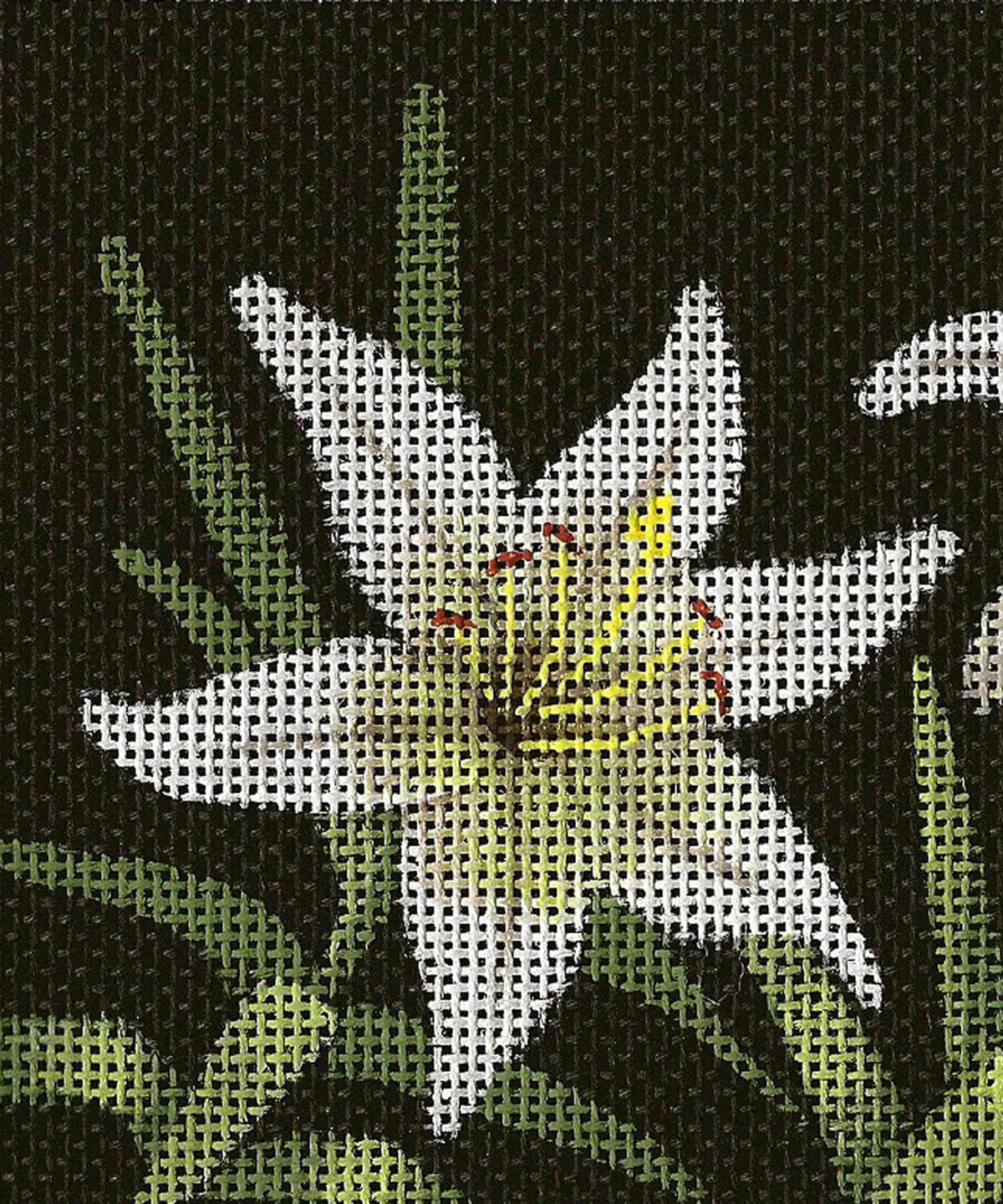 BG96 - Lilies of the Field - Leigh Designs Exclusive