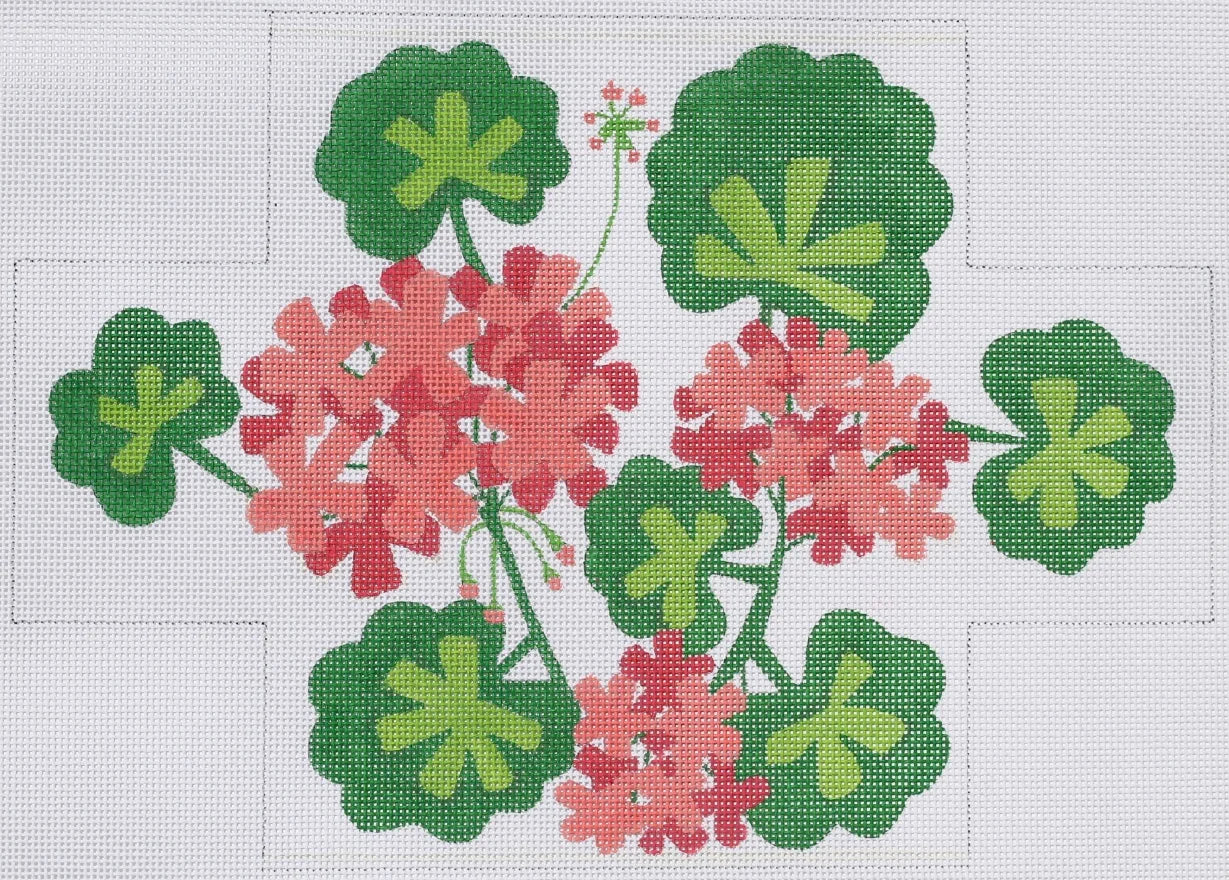 BR-05 - Salmon Geraniums