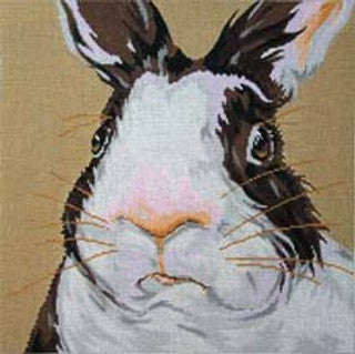 C-450B - Bunny