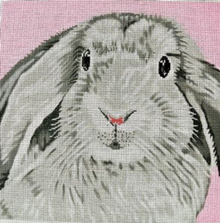 C-450BB - Floppy Ear Bunny on Pink