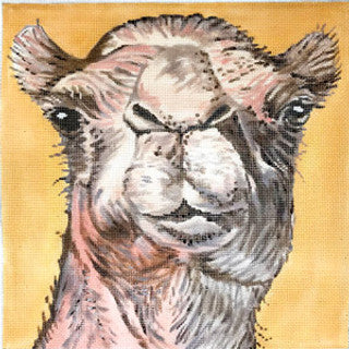 C-450CA - Camel