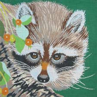 C-450F - Raccoon