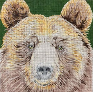 C-450GR - Grizzly Bear
