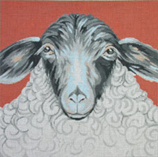 C-450H - Sheep