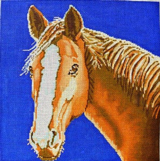 C-450K - Horse