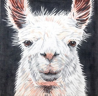 C-450LL - Llama