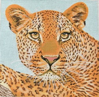 C-450O - Leopard