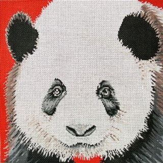 C-450PA - Panda