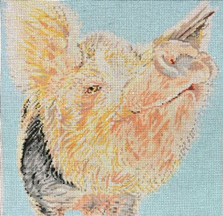 C-450PI - Snooty Pig