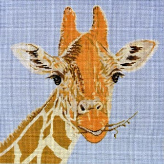 C-450Q - Giraffe