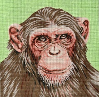 C-450R - Monkey