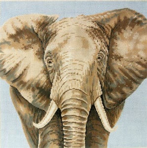 C-450S - Elephant