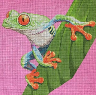 C-450TF - Tree Frog