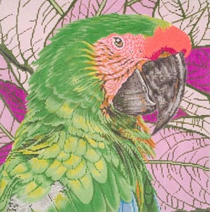 C-451A - Parrot Buffon or Great Green McCaw