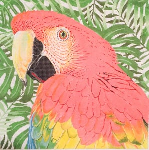 C-451C - Parrot Scarlet Macaw
