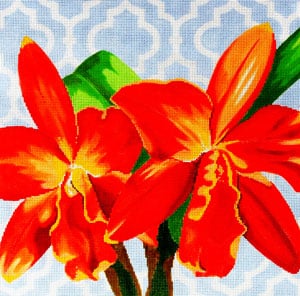 C-461I - Orange Orchid on Blue