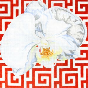 C-461J - White Orchid on Terra Cotta Phalaenopsis