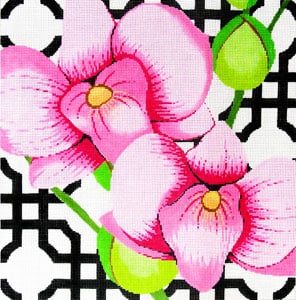 C-461K - Pink Orchid on Black