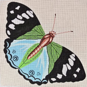 C-511A - Moth Blue and Green