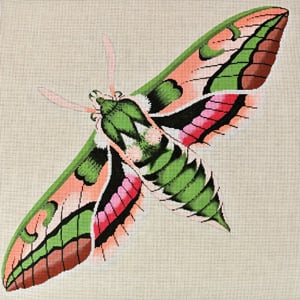 C-511D - Moth Green, Pink and Peach