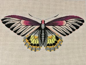 C-512A - Moth Magenta, Gray and Yellow