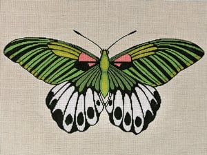 C-512B - Moth Green, Pink and White
