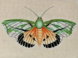 C-512C - Moth Orange, Green and Black
