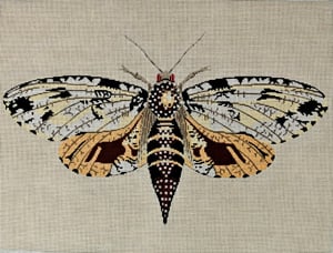 C-512D - Moth Brown, Yellow and Gold