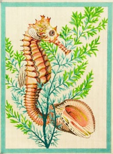 C-530A - Seahorse and Shells - Aqua