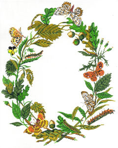 C-586 - Gift of the Butterfly