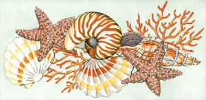 C-587 - Shellacious