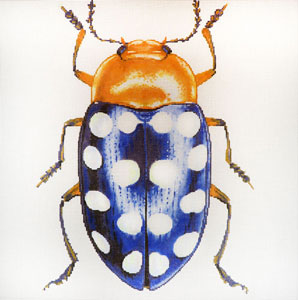 C-591B - Big Bug - Blue with White Dots