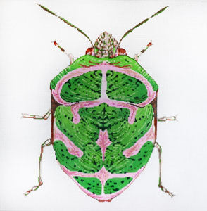 C-591C - Big Bug - Green and Pink