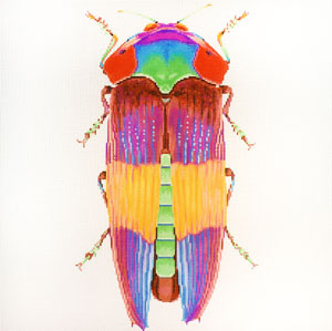 C-591D - Big Bug - Rainbow