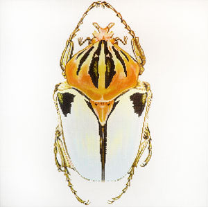 C-591G - Big Bug - White and Gold