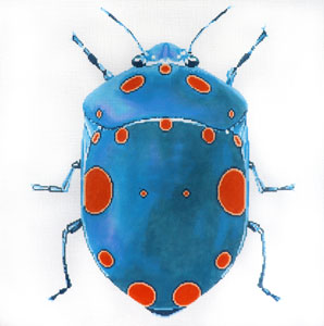 C-591H - Big Bug - Teal with Orange Dots