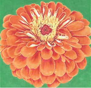 C-594A - Orange Zinnia/Green Background
