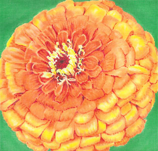 C-594B - Quince Zinnia/Green Background