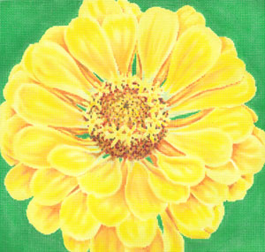 C-594C - Canary Zinnia/Green Background