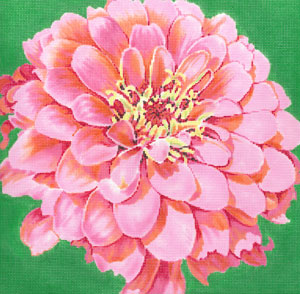 C-594D - Cosmopolitan Zinnia/Green Background