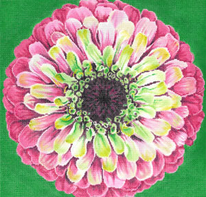 C-594E - Grenadine Zinnia/Green Background