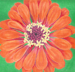 C-594F - Dark Orange Zinnia/Green Background