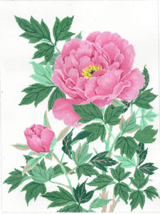 C-610 - Pink Peony