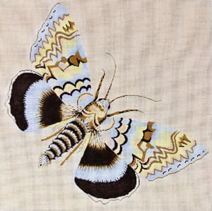 C-511C - Moth Light Blue, Brown and Yellow