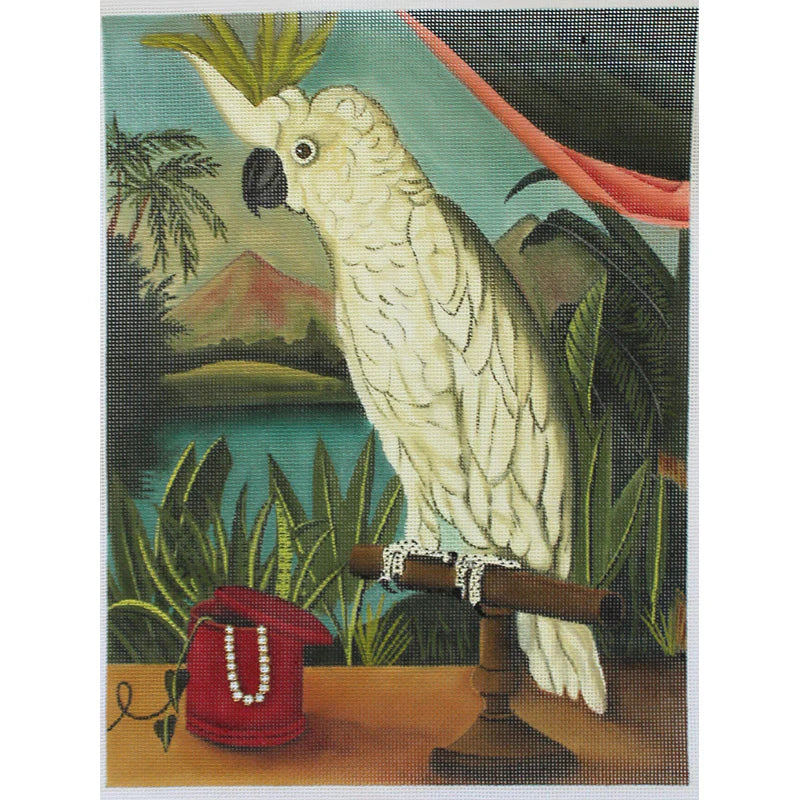 CN1535 - Cockatoo