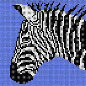 CO-46A - Zebra on Blue