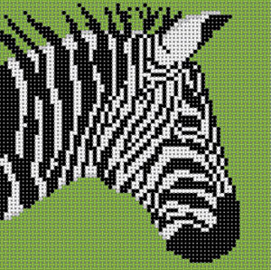 CO-46B - Zebra on Green