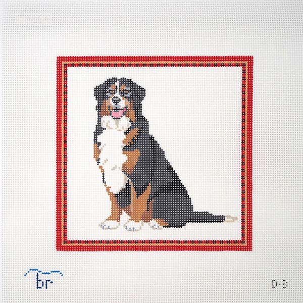 D3 - Bermese Mountain Dog