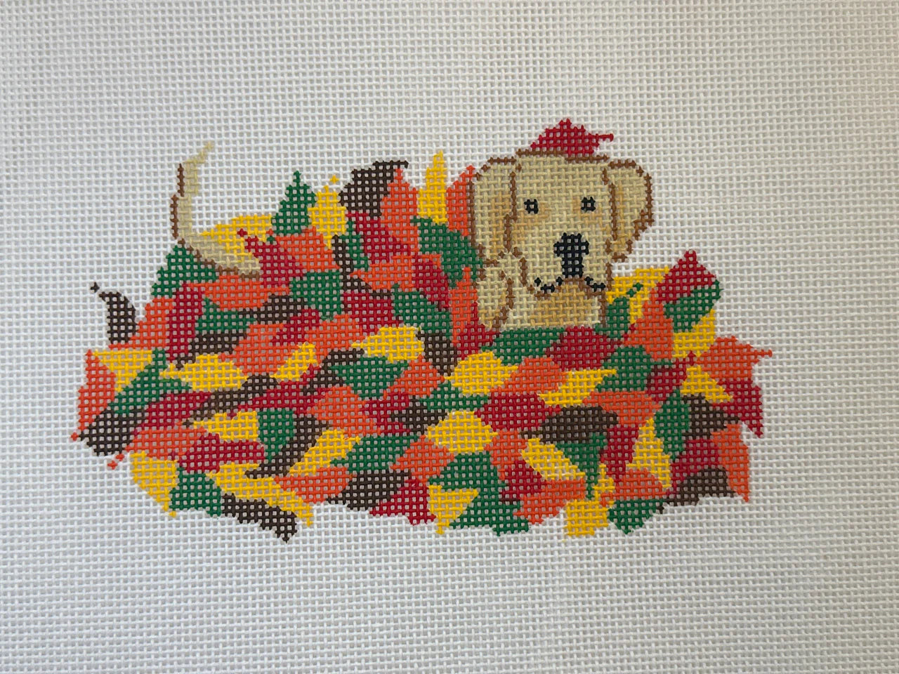 FD262 - Golden Labrador in Fall Leaves