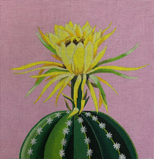 FF328 - Blooming Cactus on Pink